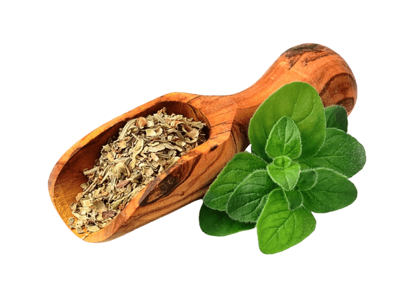 Oregano