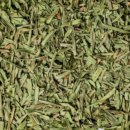 Tarragon
