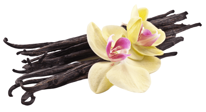Vanilla